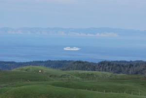 There was no visit to Napier for this ship.