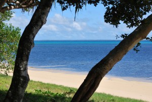 The beach on Atata Island, Tonga.