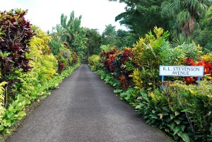 The driveway leading up to Villa Vailima is beautifully planted in tropical shrubs.