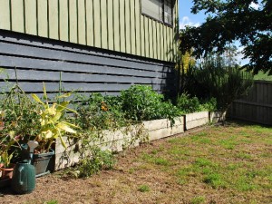 The remains of my summer garden.