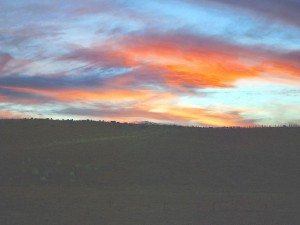 Autumn Evening On Our Horizon