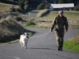 Jim walks Emily up the road to our house.