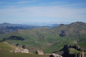 The rugged landscape surrounding Te Mata Peak.