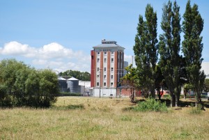 The "New Zealand-Famous" Tui Brewery.