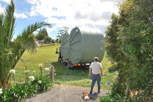 Made it into the paddock with only a few smashed plants and a scraped tree!